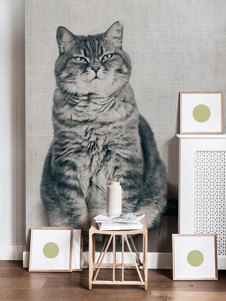 Vintage Sepia Cat Portrait Wallpaper in living room with wooden flooring and minimalistic decor.