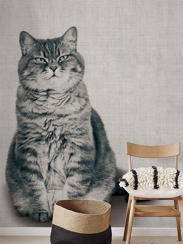Vintage Sepia Cat Portrait Wallpaper with chair and basket in cosy room, British classic decor.