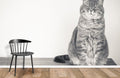 Cute Fat Cat Wallpaper Mural