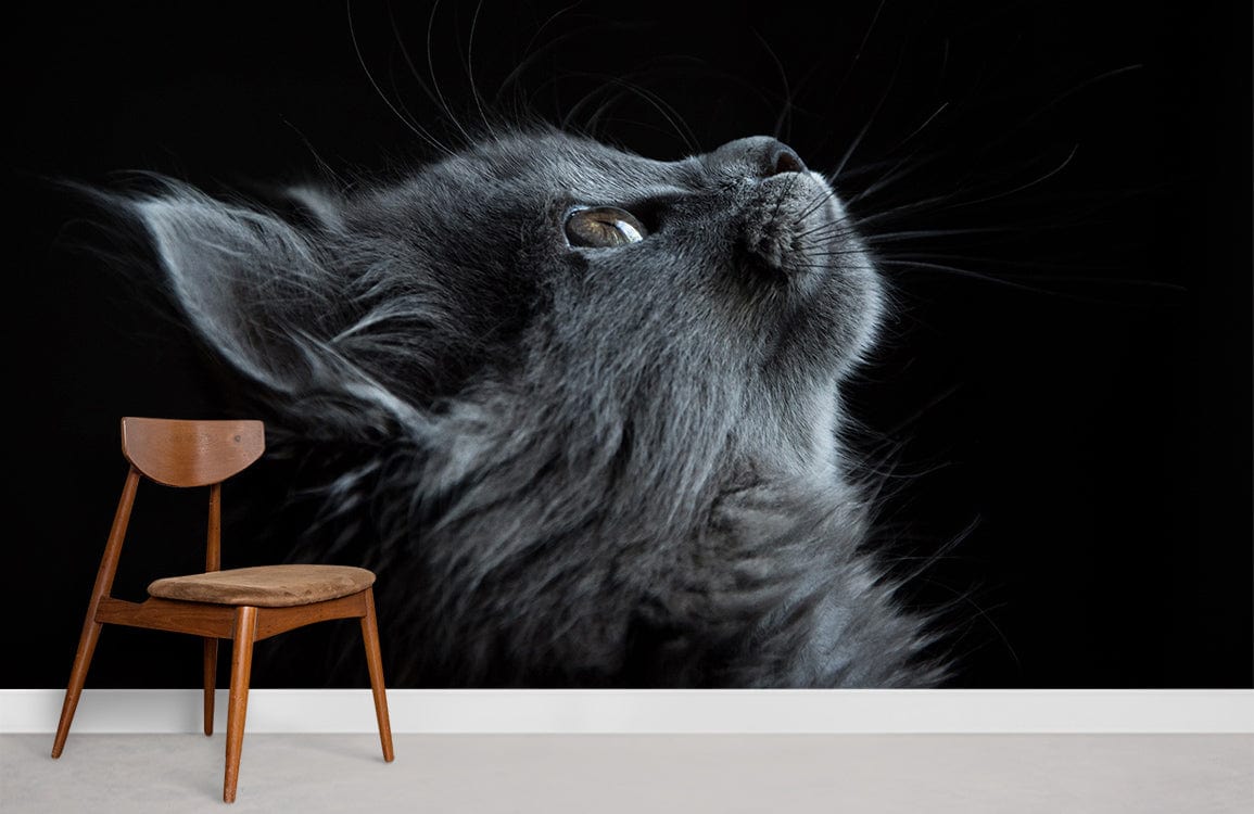 Grey Cat Silhouette Wallpaper with chair on modern flooring, elegant design for living room decor.