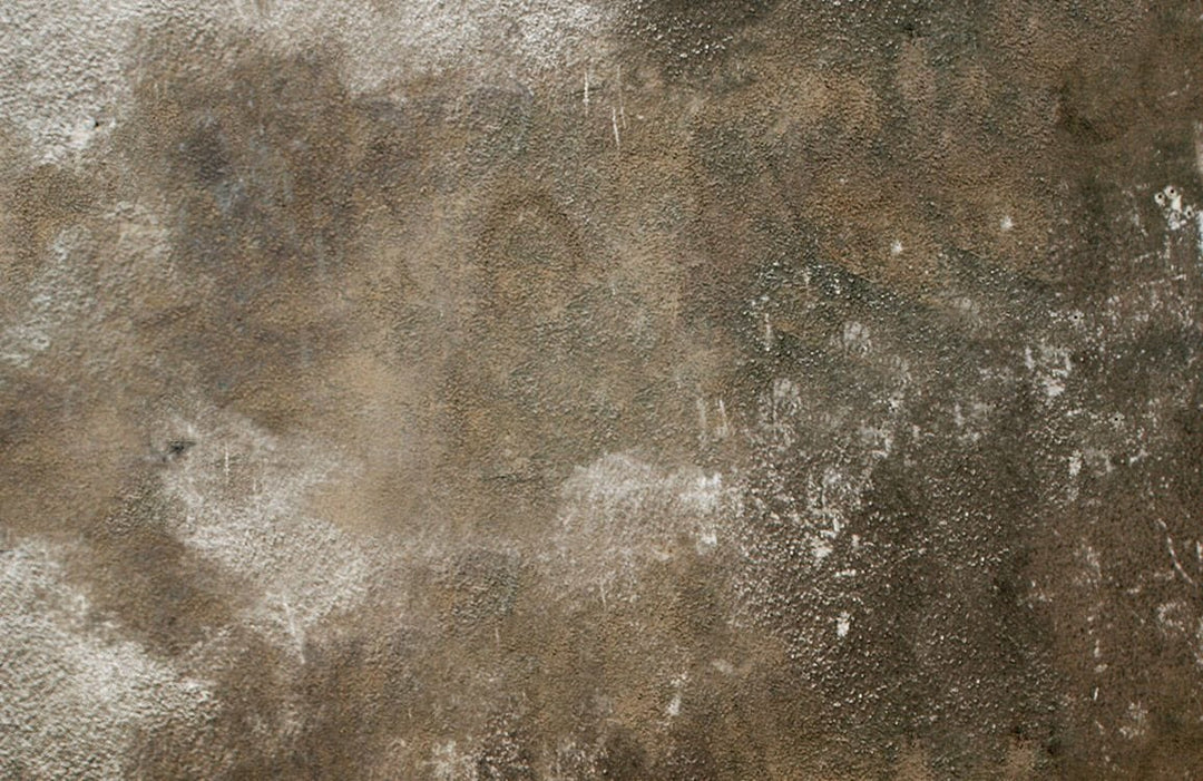 Rustic Earthy Toned Industrial Textured Mural Wallpaper for Modern Interiors