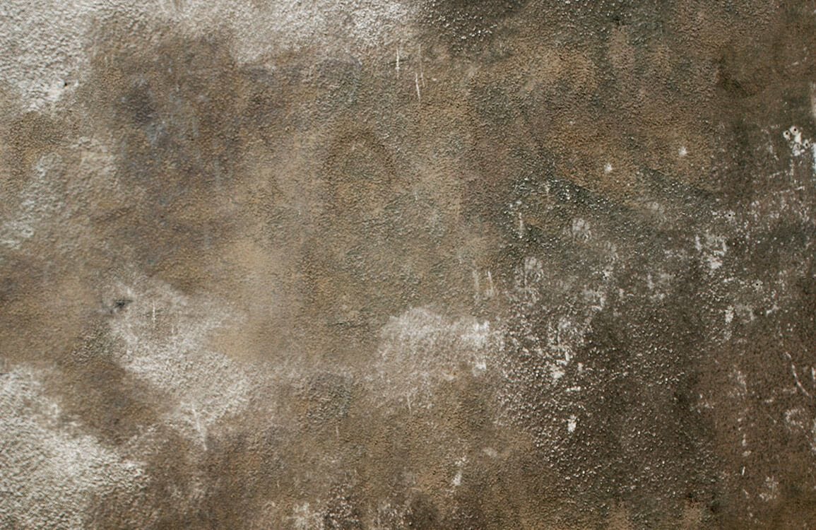 Rustic Earthy Toned Industrial Textured Mural Wallpaper for Modern Interiors