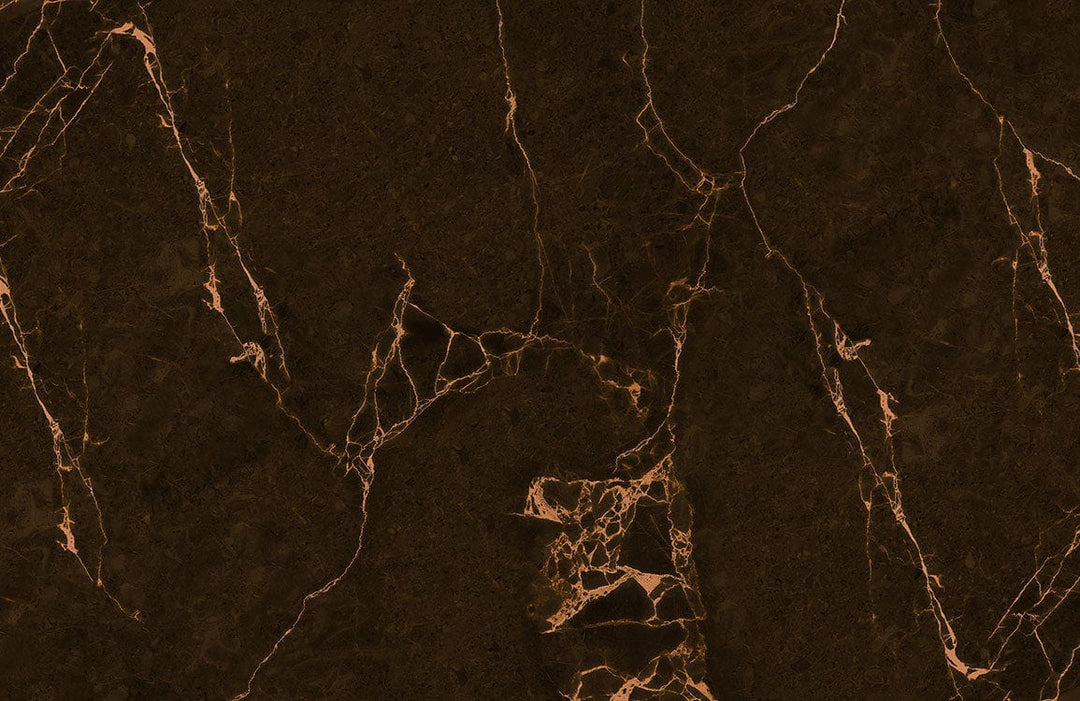 Dark Brown Marble Ⅱ Plain Wallpaper Mural