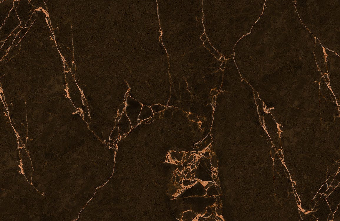 Dark Brown Marble Ⅱ Plain Wallpaper Mural