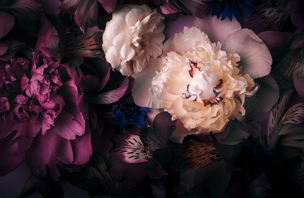 Moody Floral Wonderland: Luxurious Dark Purple and Cream Floral Wallpaper
