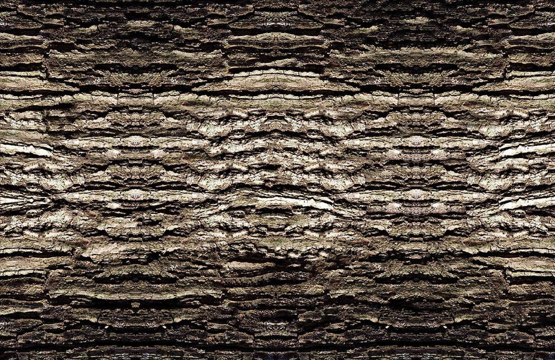 Rustic Textured Bark Effect Wallpaper, Natural Brown, Woodland Style Decor