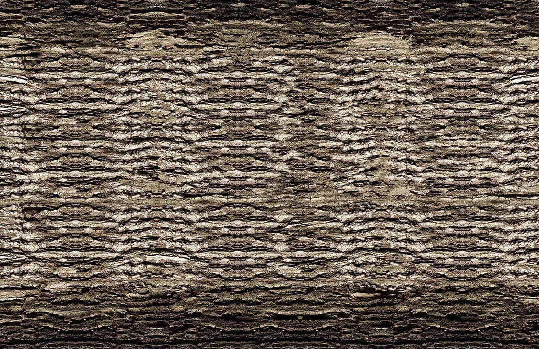 Textured Woodland Bark Effect Wallpaper in Earthy Tones for Natural Decor