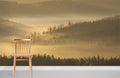 Dawn Forest Wallpaper Mural