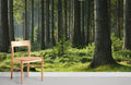 Deep In Forest Wallpaper Mural
