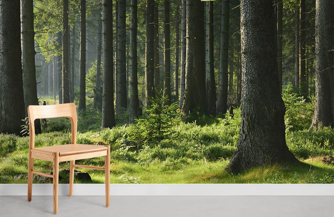 Tranquil green forest mural wallpaper in room with wooden chair, white skirting, grey flooring.