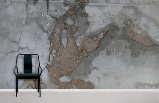 Dilapidated Walls Wallpaper Mural