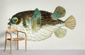 Diodon Porcupine Fish Wallpaper Mural