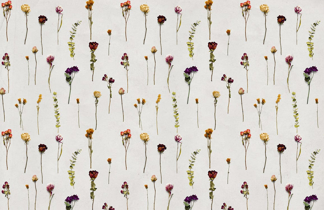 Vintage Floral Meadow Wallpaper with Colourful Botanical Patterns on White Background