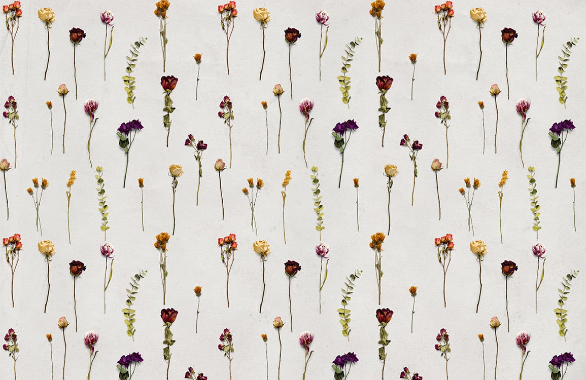Vintage Floral Meadow Wallpaper with Colourful Botanical Patterns on White Background