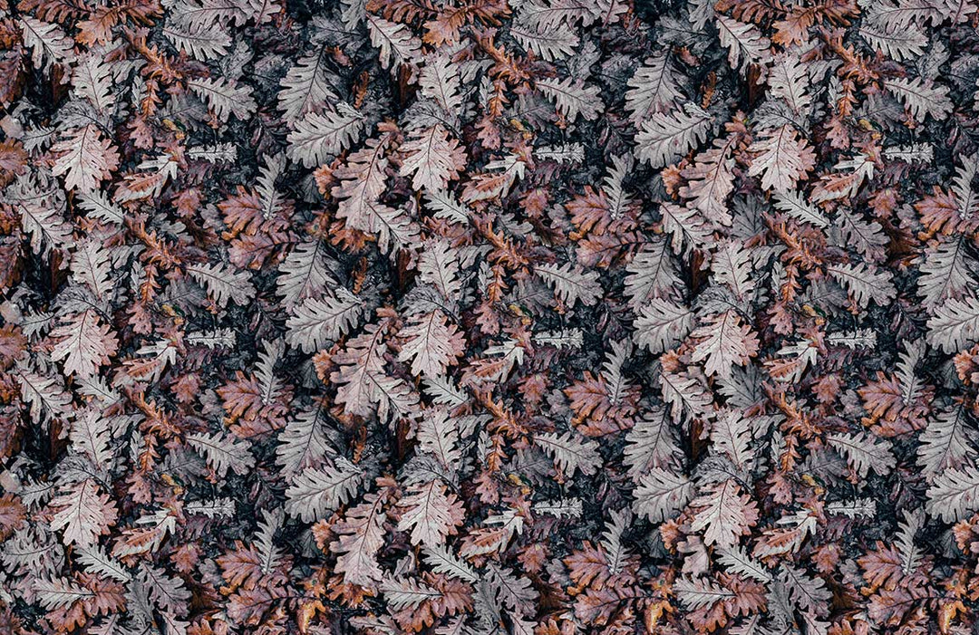 Autumn Forest Leaf Pattern Wallpaper - Vintage Earthy Tones Design
