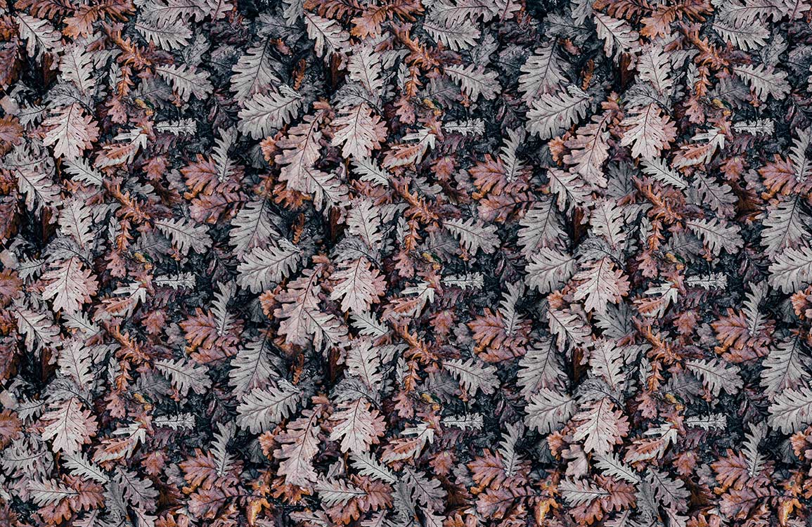Autumn Forest Leaf Pattern Wallpaper - Vintage Earthy Tones Design