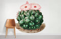 Elephant's Tooth Cactus Wallpaper Mural