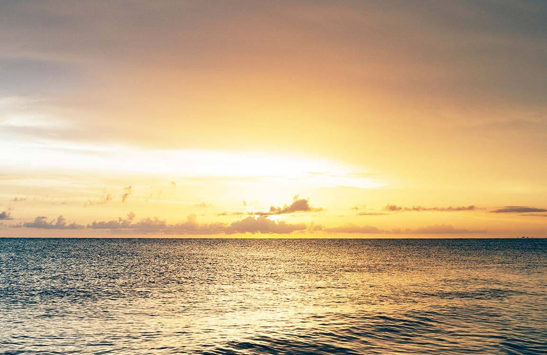 Golden Horizon Ocean Sunset Mural Wallpaper - Serene Coastal Landscape Decor