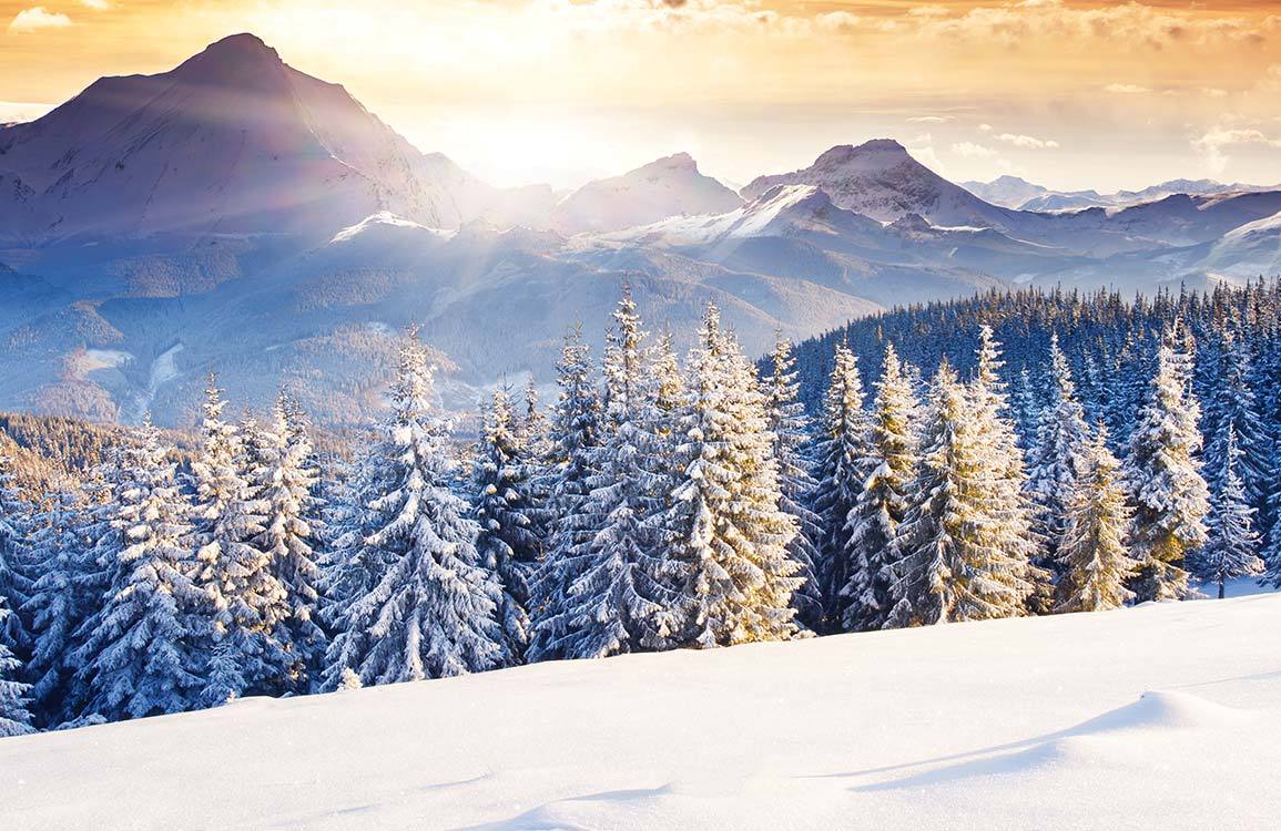 Nature Wallpaper Winter