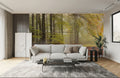 Forest in Fall Wallpaper Mural