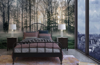 Hazy Blanketing Forest Wallpaper Mural