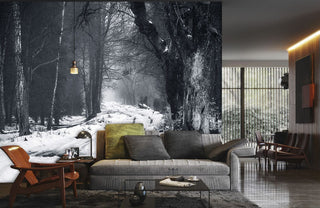 Track on Snowy Path Wallpaper Mural