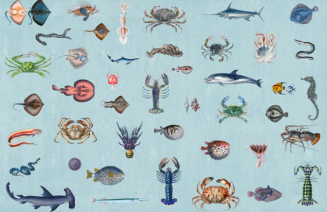 Vintage Blue Ocean Creatures Mural Wallpaper - Marine Life Pattern Décor