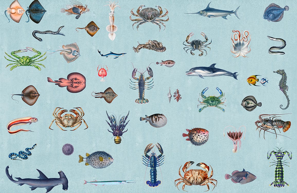 Vintage Blue Ocean Creatures Mural Wallpaper - Marine Life Pattern Décor