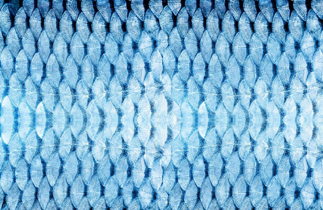 Blue Geometric Abstract Watercolour Textured Mural Wallpaper for Modern Interiors