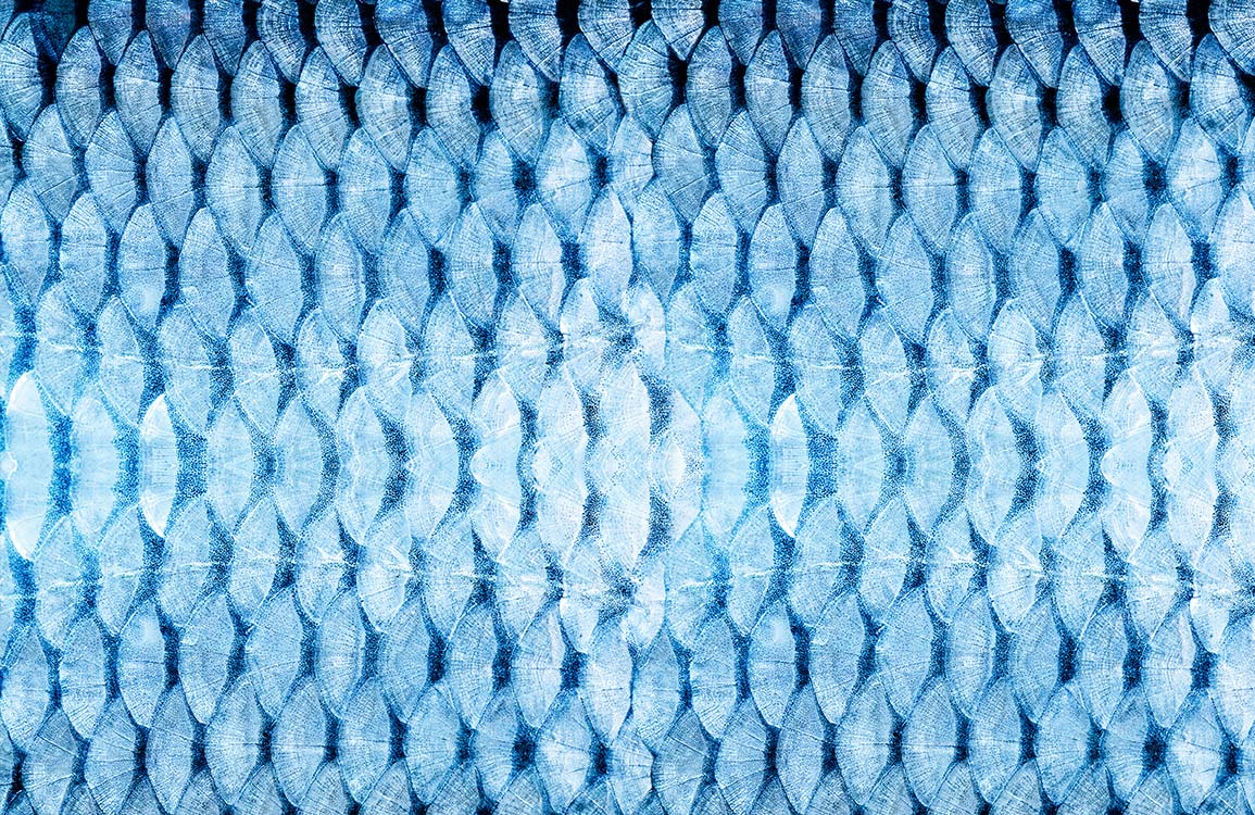Blue Geometric Abstract Watercolour Textured Mural Wallpaper for Modern Interiors
