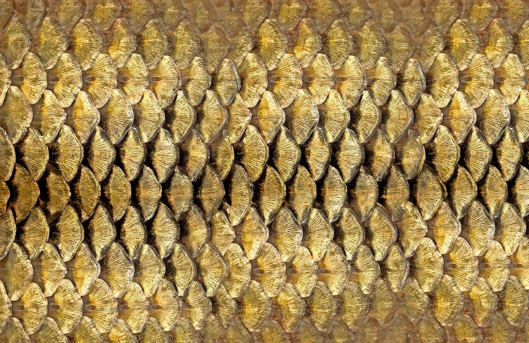 Golden Scales Luxury Wallpaper for Elegant and Sophisticated Interiors Decor