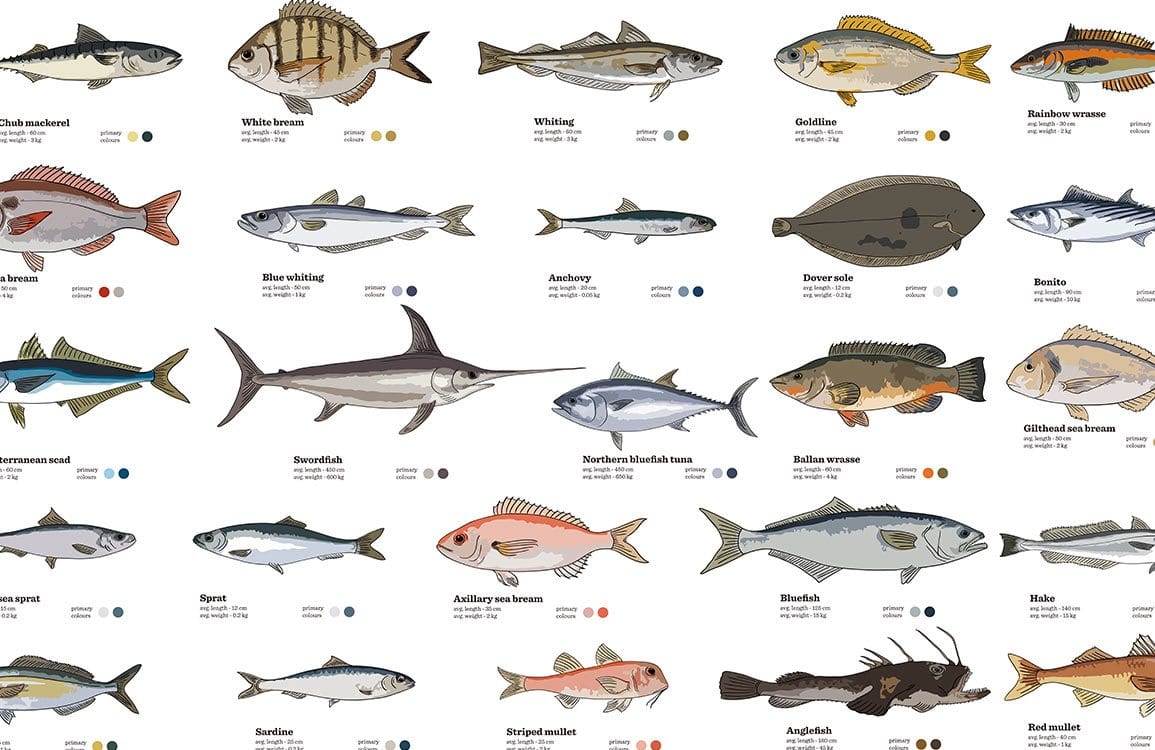 Vintage Fish Illustration Wallpaper with Illustrated Sea Life Patterns - Neutral Tones