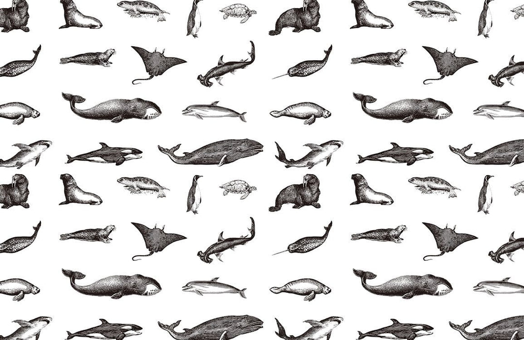 Monochrome Marine Life Patterned Wallpaper - Ocean Creatures Nautical Design