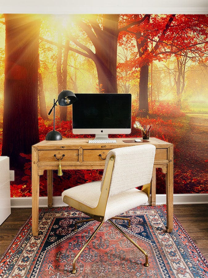 Autumnal sunlit forest mural wallpaper with desk, chair, and vibrant red foliage, in home office.