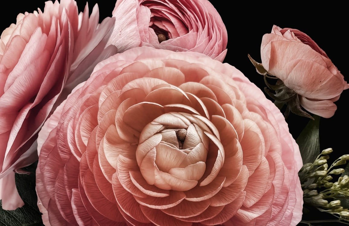 Pink Flower Wallpaper Mural