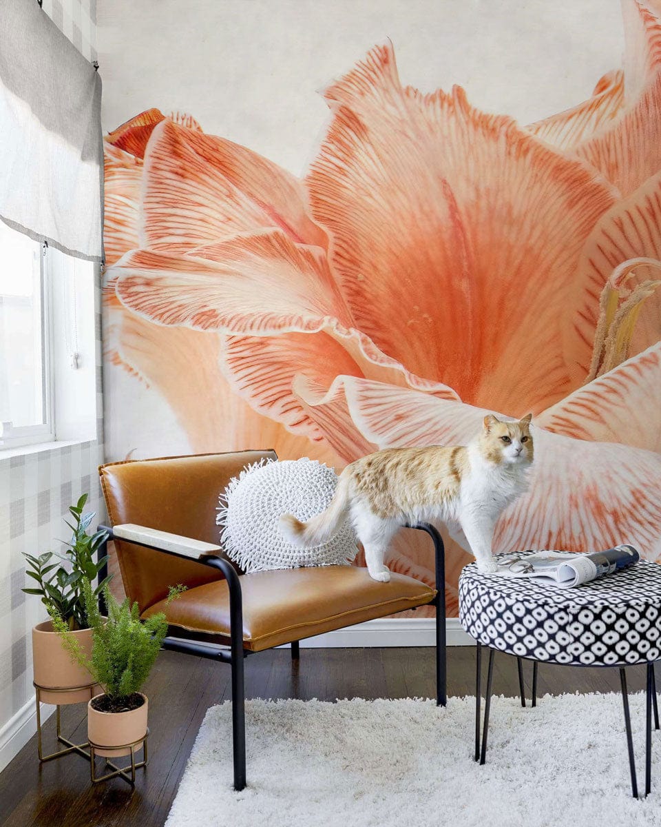 Elegant peach floral wallpaper in cosy living room, brown leather chair, dark wooden flooring, lounging cat.