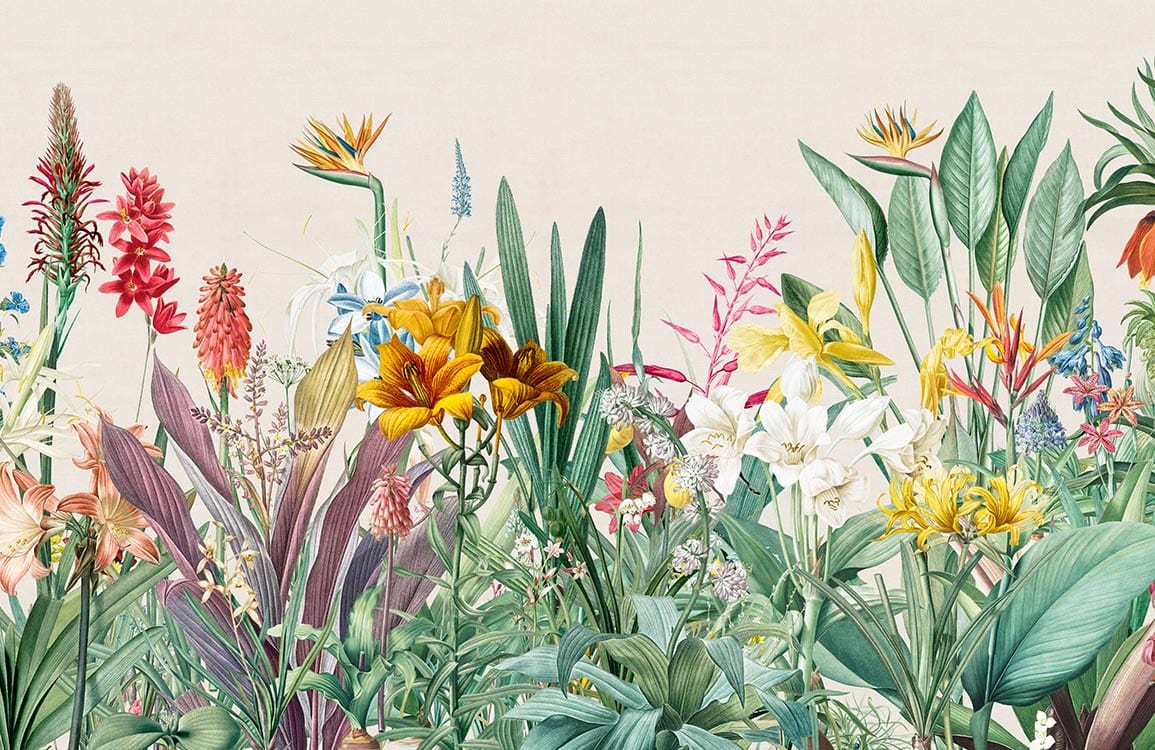 Tropical Garden Paradise Floral Mural Wallpaper - Colourful Botanical Nature Design