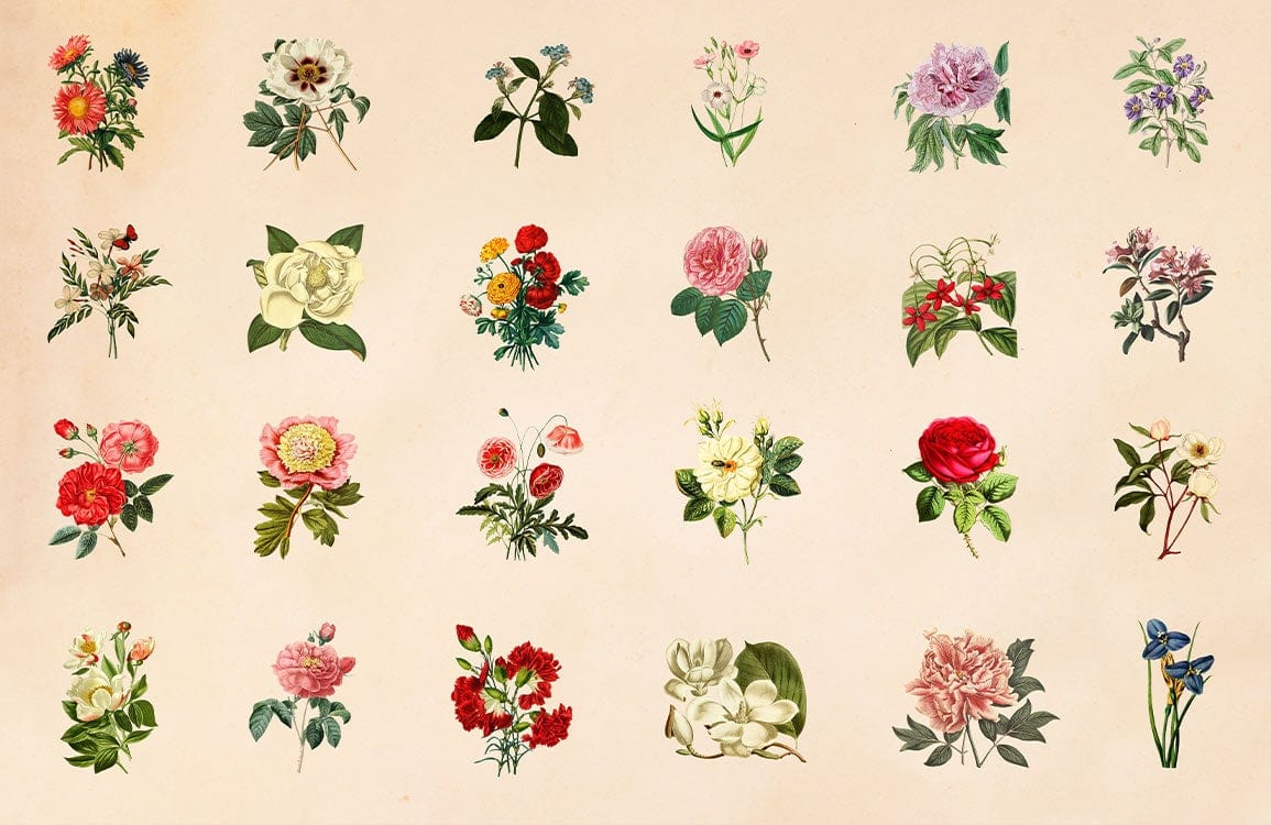 Vintage Floral Pattern Wallpaper: Elegant Botanical Design with Soft Pastel Colours