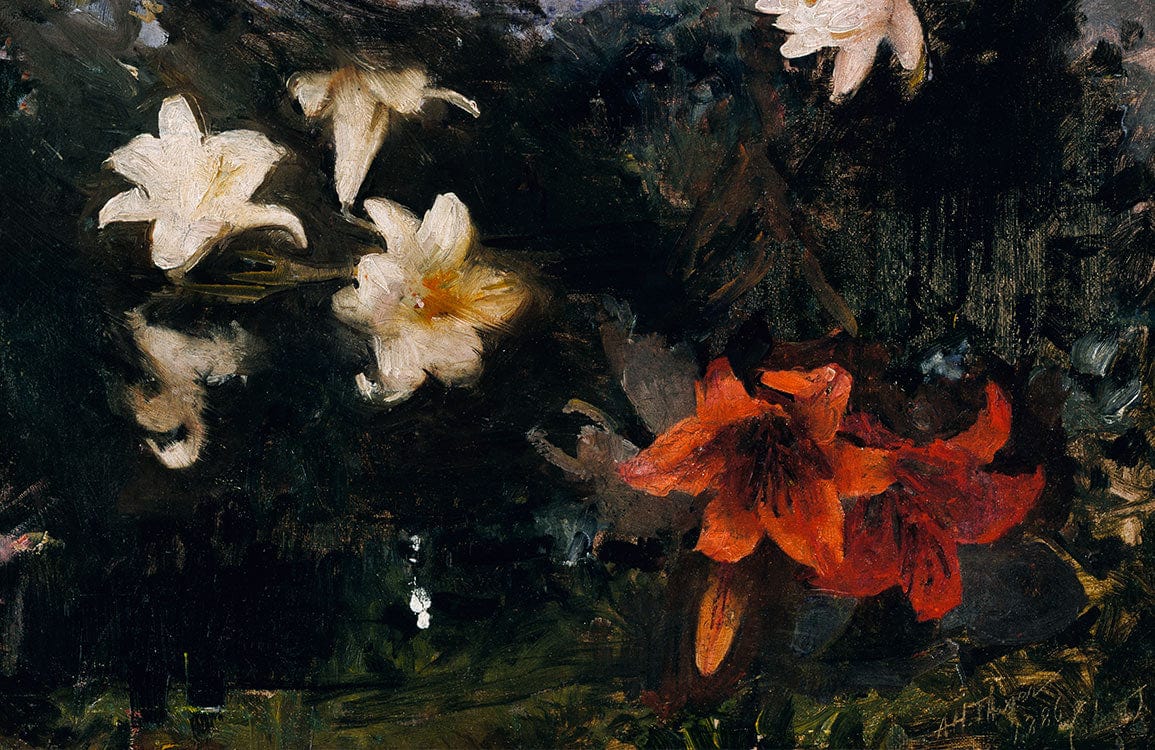 Dark Floral Elegance Mural: Red and White Lily Blossom Design Wallpaper