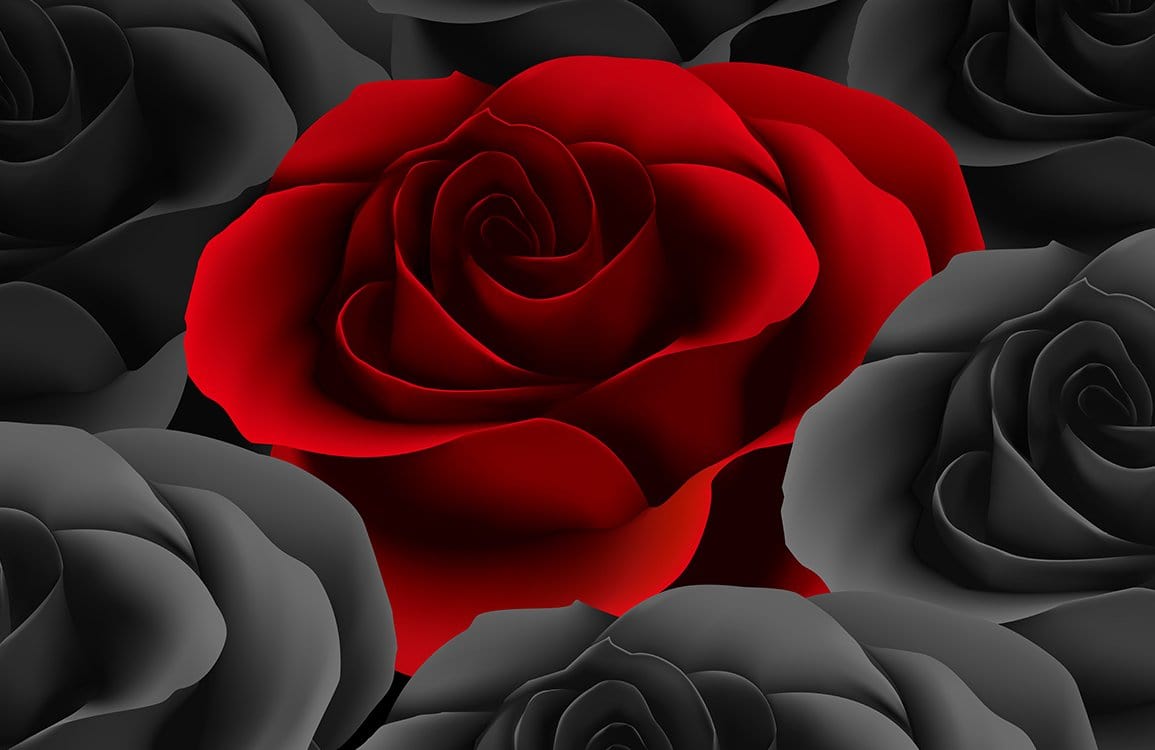 Elegant Red and Black Rose Pattern Mural Wallpaper for Sophisticated Interiors