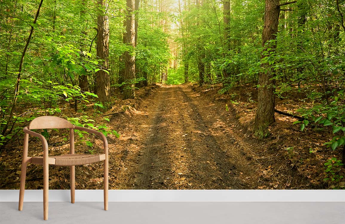 Sunlit Forest Path Mural Wallpaper: Nature Decor with modern wooden chair on grey flooring in room.