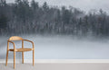 Foggy Woods Wallpaper Mural