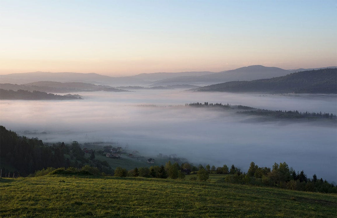 Tranquil Misty Morning Landscape Wallpaper Mural in Soft Greens and Blues