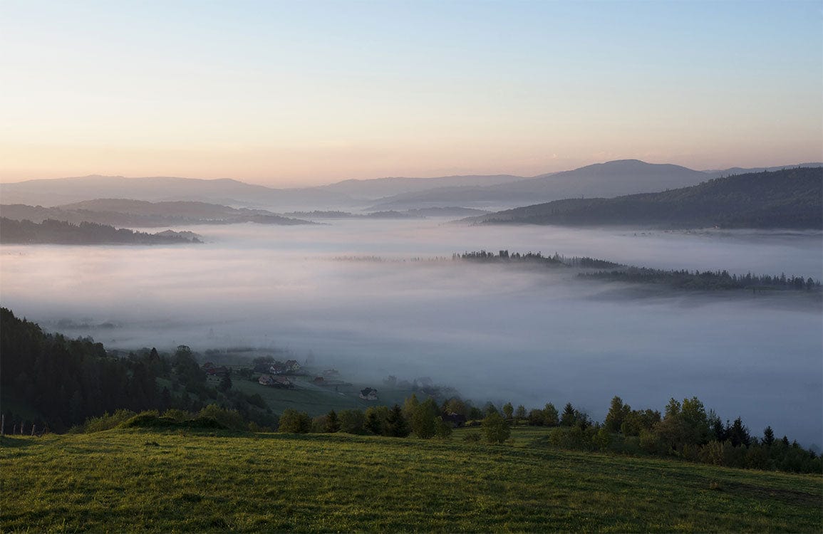 Tranquil Misty Morning Landscape Wallpaper Mural in Soft Greens and Blues