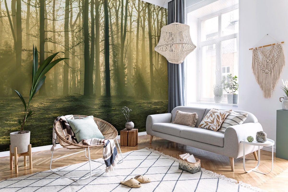 Enchanted Forest Sunrise mural in modern living room with grey sofa, wicker chair, and wooden flooring.