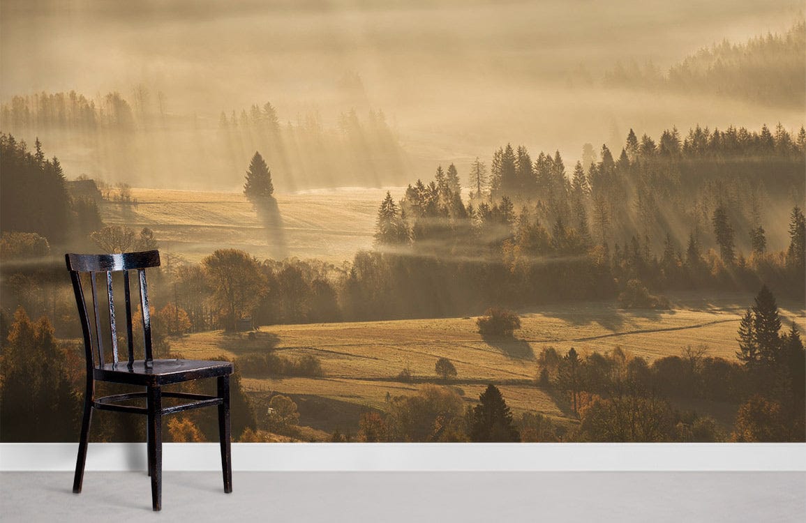Golden Sunrise Forest Landscape Mural Wallpaper in room with black wooden chair, grey flooring.