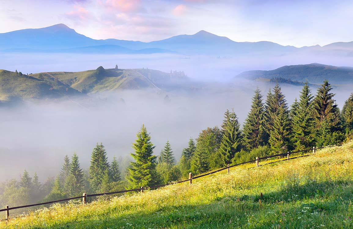 Tranquil Misty Mountain Scenic Landscape Mural Wallpaper in Serene Greens
