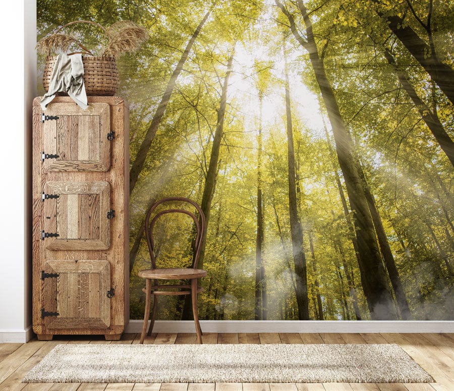 Golden Forest Sunbeam Mural Wallpaper, rustic wooden cabinet, chair, hardwood floors, serene decor.