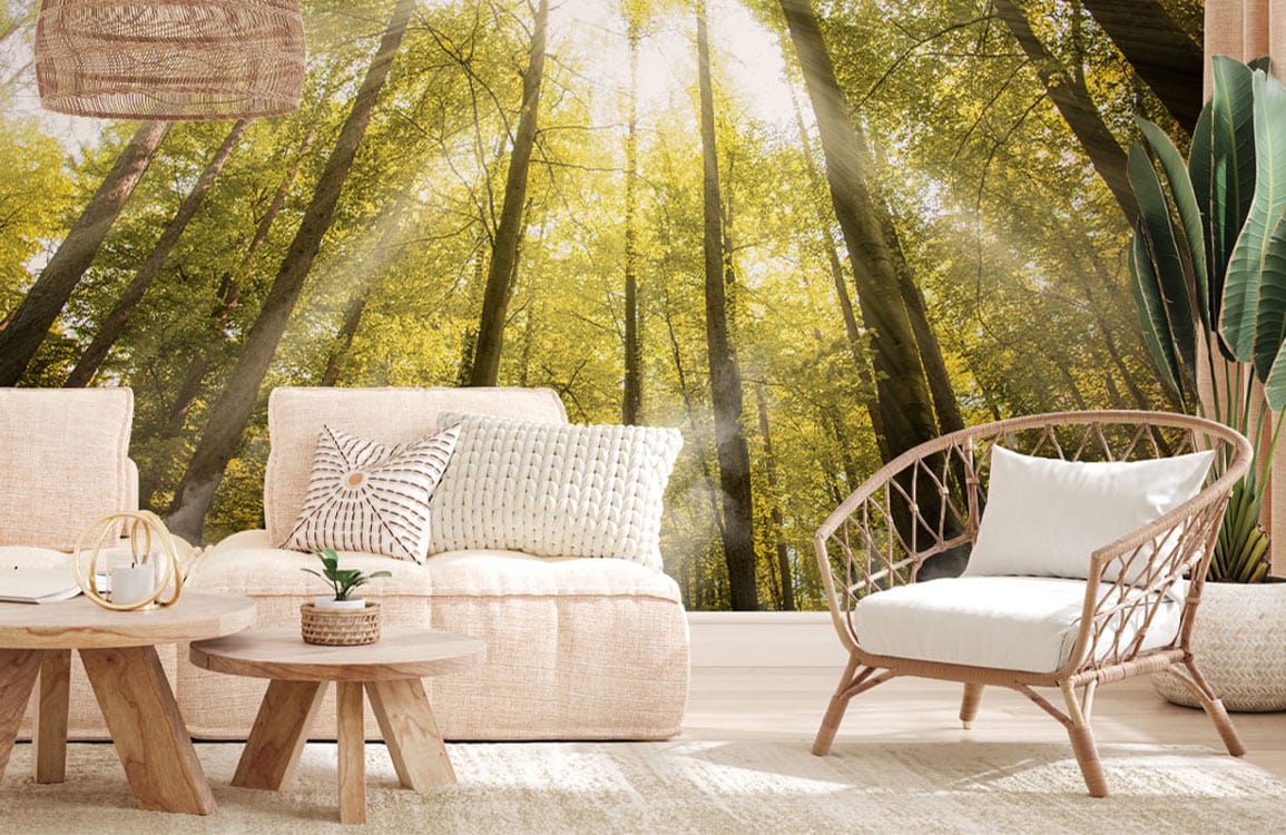 Golden Forest Sunbeam Mural Wallpaper in living room, beige sofa, wooden tables, wicker chair, light rug.