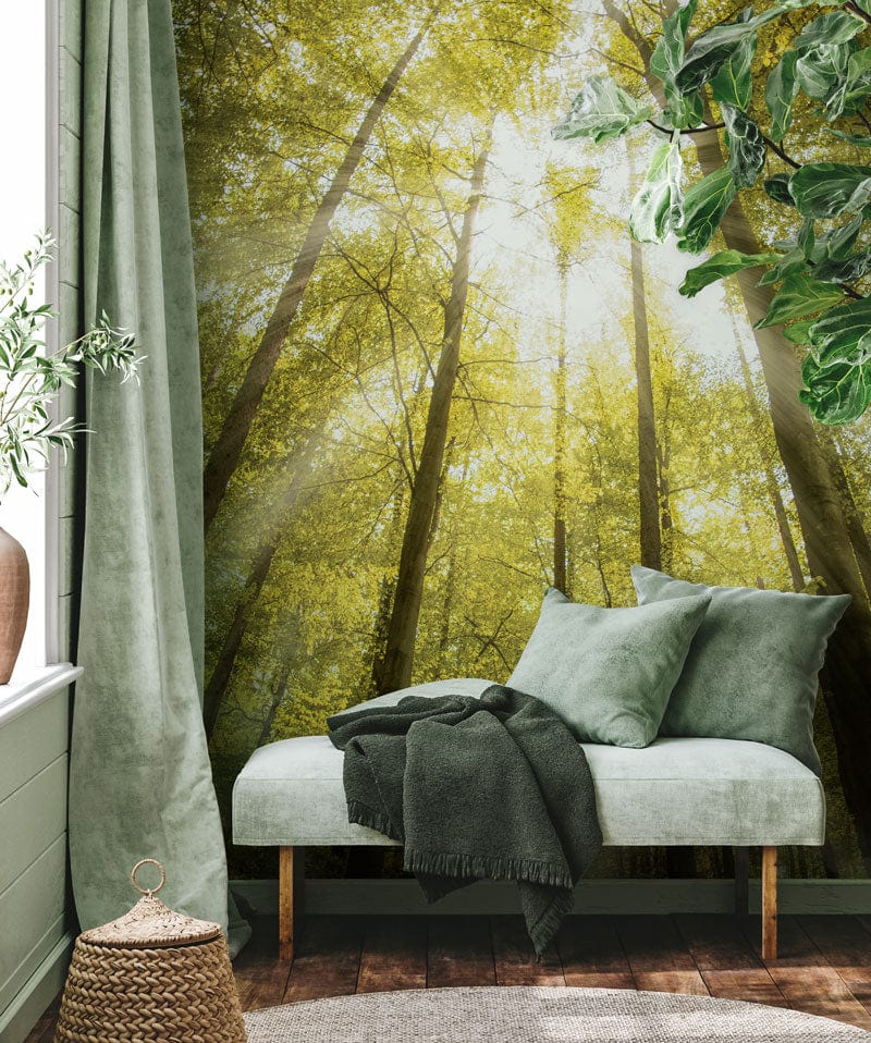 Golden Forest Sunbeam Mural Wallpaper in lounge with green velvet sofa and wooden flooring.